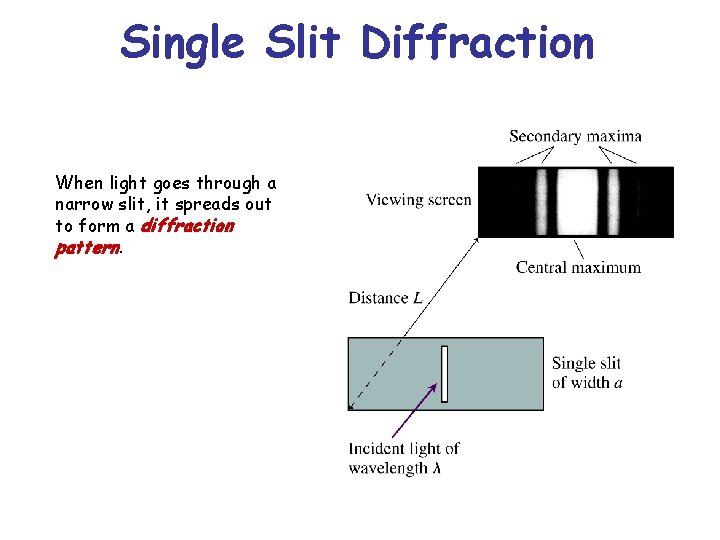 Single Slit Diffraction When light goes through a narrow slit, it spreads out to