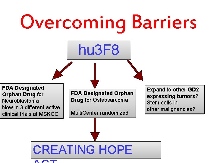 Overcoming Barriers hu 3 F 8 FDA Designated Orphan Drug for Neuroblastoma Now in