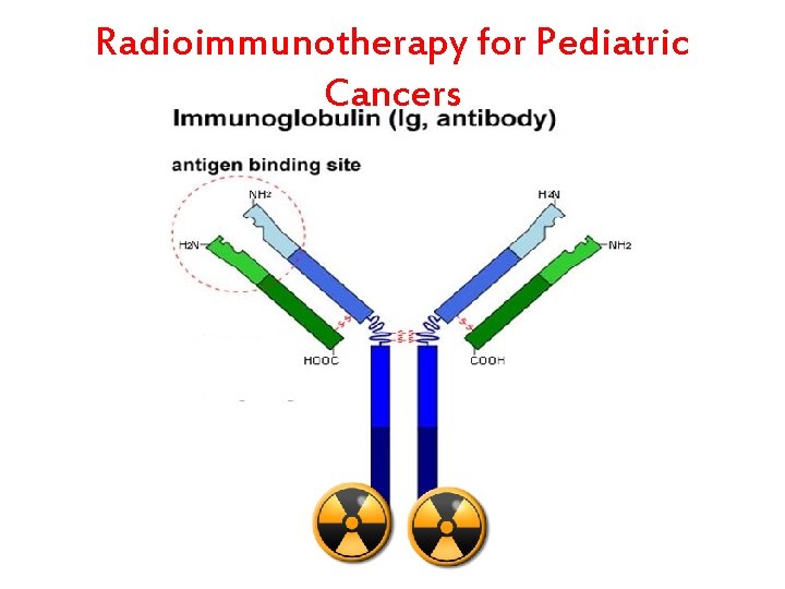 Radioimmunotherapy for Pediatric Cancers 