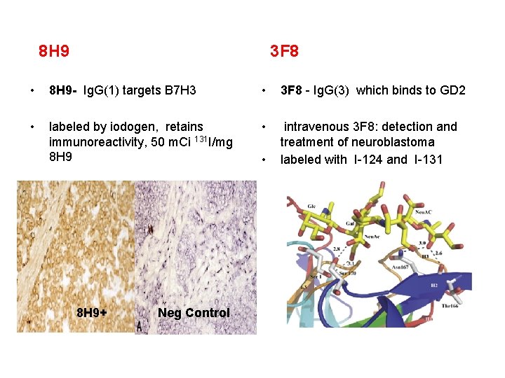 8 H 9 3 F 8 • 8 H 9 - Ig. G(1) targets