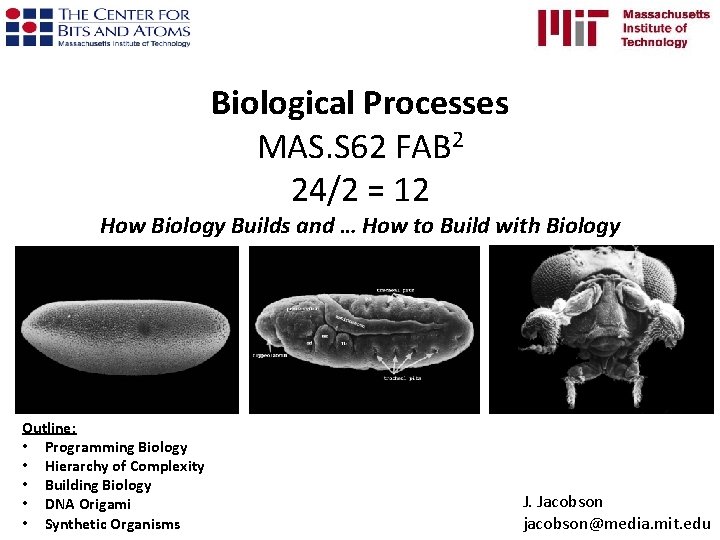 Biological Processes MAS. S 62 FAB 2 24/2 = 12 How Biology Builds and