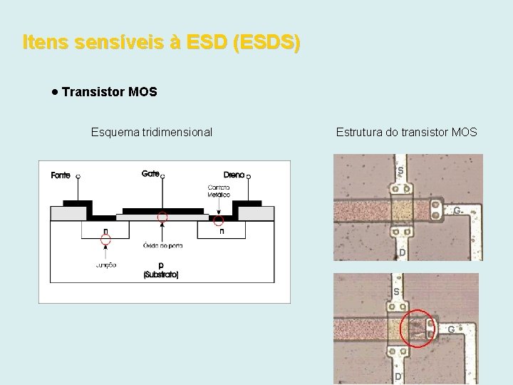 Itens sensíveis à ESD (ESDS) Transistor MOS Esquema tridimensional Estrutura do transistor MOS S