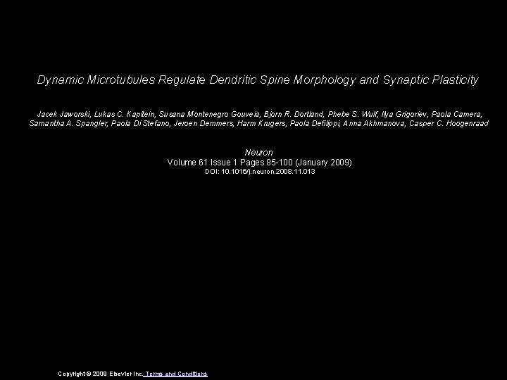 Dynamic Microtubules Regulate Dendritic Spine Morphology and Synaptic Plasticity Jacek Jaworski, Lukas C. Kapitein,