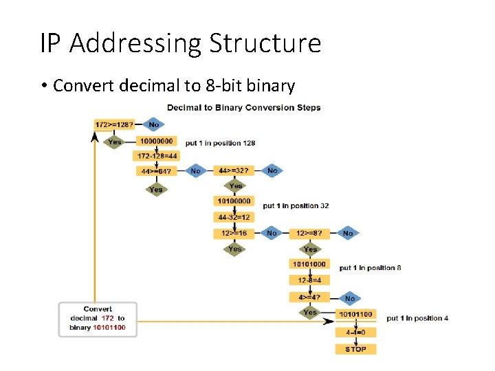 IP Addressing Structure • Convert decimal to 8 -bit binary 