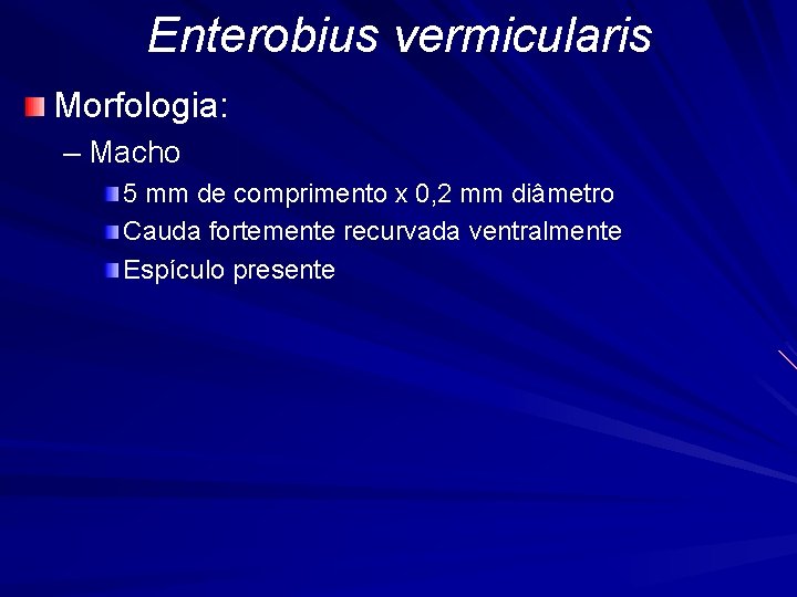 enterobius vermicularis profilaxia détox ventre plat d lab avis