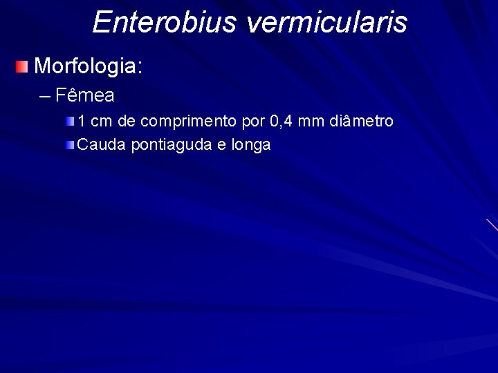 Enterobius vermicularis Morfologia: – Fêmea 1 cm de comprimento por 0, 4 mm diâmetro
