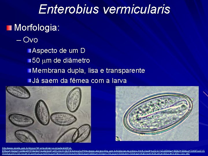 Enterobius vermicularis Morfologia: – Ovo Aspecto de um D 50 mm de diâmetro Membrana