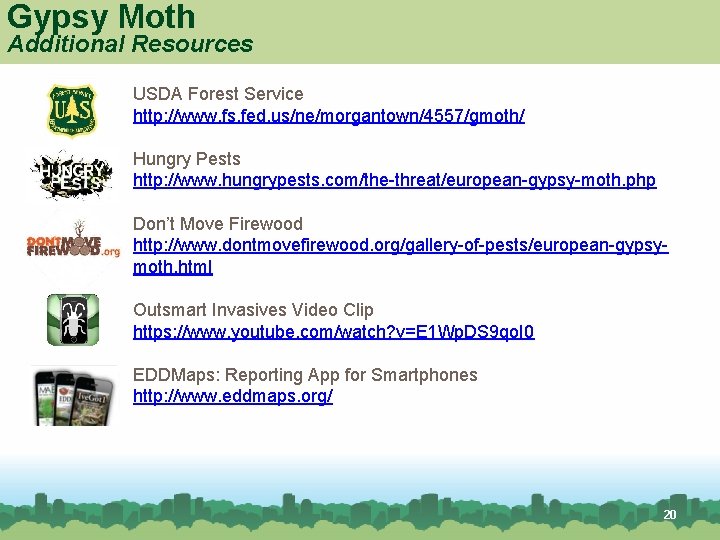 Gypsy Moth Additional Resources USDA Forest Service http: //www. fs. fed. us/ne/morgantown/4557/gmoth/ Hungry Pests Gypsy Moth Additional Resources USDA Forest Service http: //www. fs. fed. us/ne/morgantown/4557/gmoth/ Hungry Pests