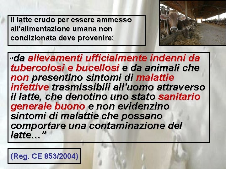 Il latte crudo per essere ammesso all'alimentazione umana non condizionata deve provenire: da allevamenti