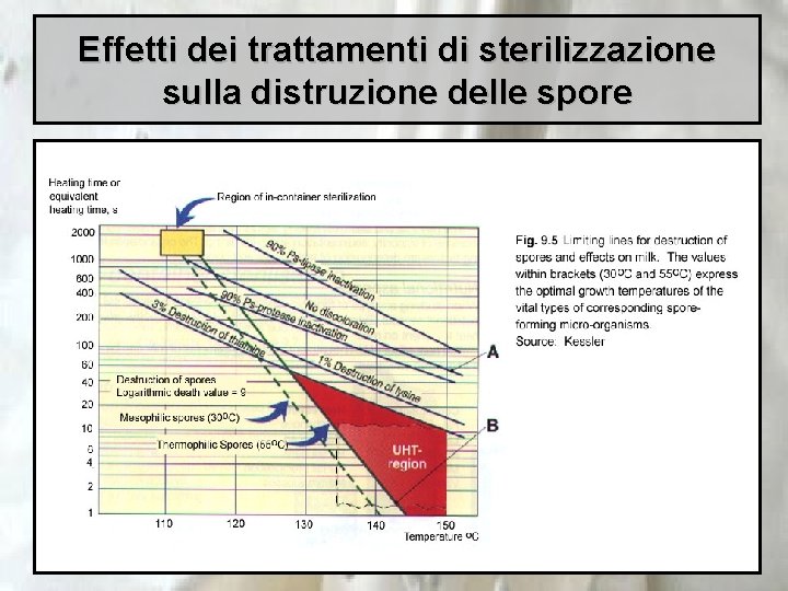 Effetti dei trattamenti di sterilizzazione sulla distruzione delle spore 