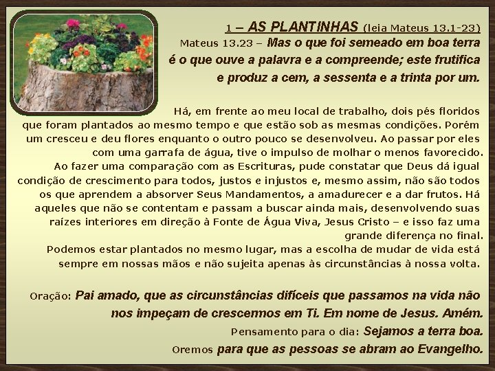 1 – AS PLANTINHAS (leia Mateus 13. 1 -23) Mas o que foi semeado