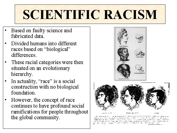 SCIENTIFIC RACISM • Based on faulty science and fabricated data. • Divided humans into