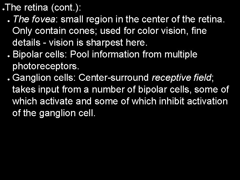 ● The retina (cont. ): ● The fovea: small region in the center of
