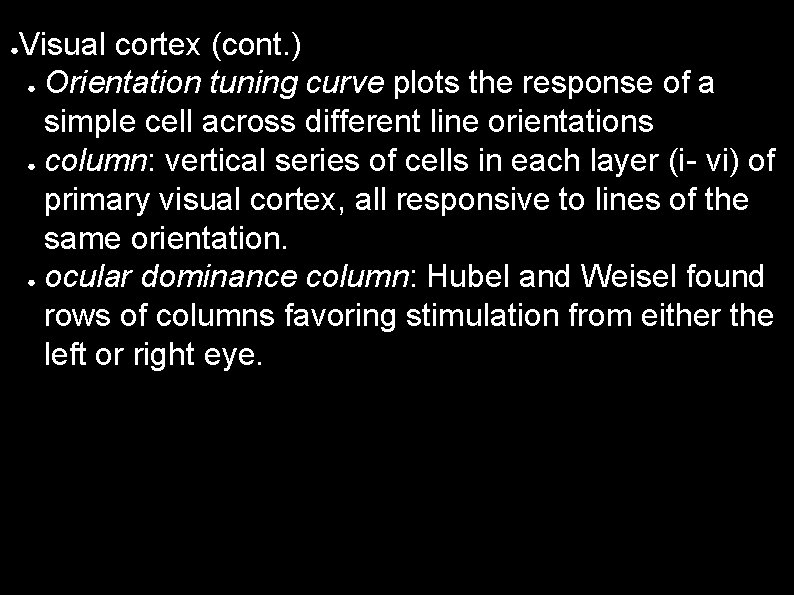 ● Visual cortex (cont. ) ● Orientation tuning curve plots the response of a