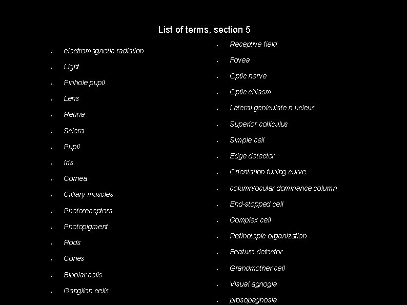 List of terms, section 5 ● electromagnetic radiation ● Light ● Pinhole pupil ●