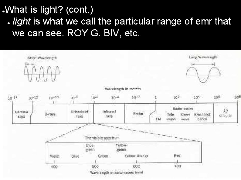 ● What is light? (cont. ) ● light is what we call the particular