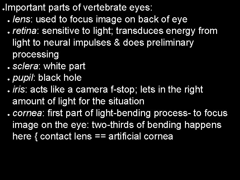 ● Important parts of vertebrate eyes: ● lens: used to focus image on back