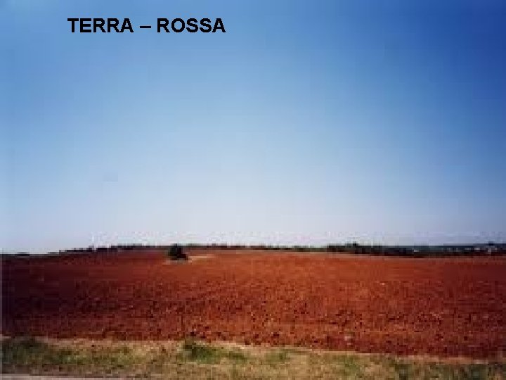 TERRA – ROSSA 