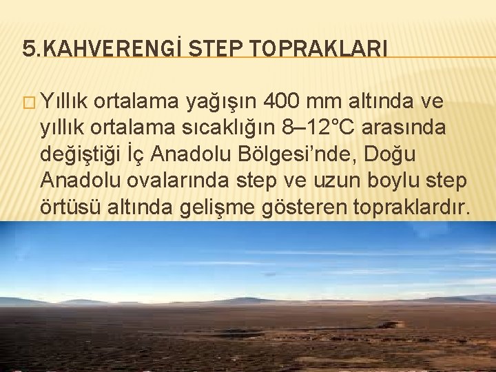 5. KAHVERENGİ STEP TOPRAKLARI � Yıllık ortalama yağışın 400 mm altında ve yıllık ortalama