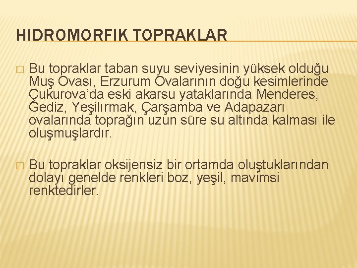 HIDROMORFIK TOPRAKLAR � Bu topraklar taban suyu seviyesinin yüksek olduğu Muş Ovası, Erzurum Ovalarının