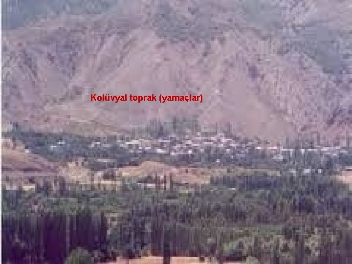  Kolüvyal toprak (yamaçlar) 