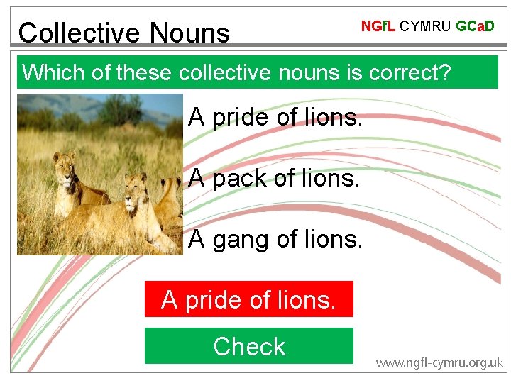 Collective Nouns NGf. L CYMRU GCa. D Which of these collective nouns is correct?