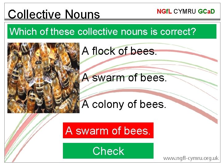 Collective Nouns NGf. L CYMRU GCa. D Which of these collective nouns is correct?