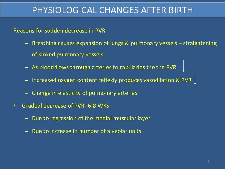 PHYSIOLOGICAL CHANGES AFTER BIRTH Reasons for sudden decrease in PVR – Breathing causes expansion