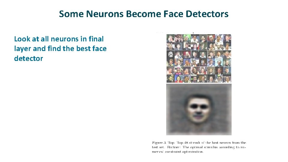 Some Neurons Become Face Detectors ü Look at all neurons in final layer and