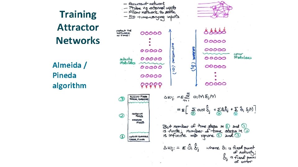 Training Attractor Networks ü Almeida / Pineda algorithm 
