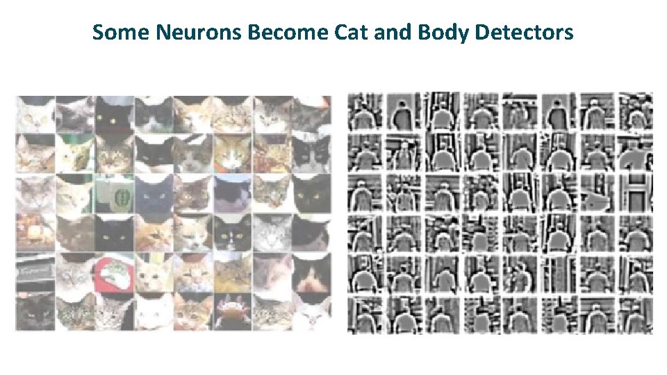 Some Neurons Become Cat and Body Detectors 