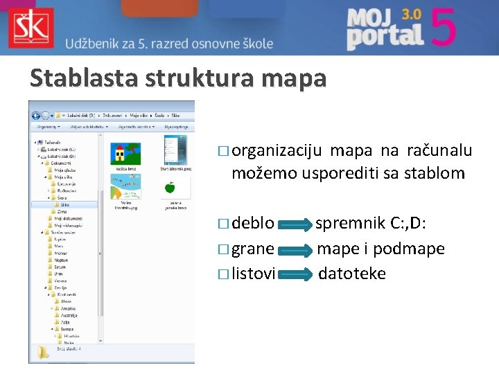 Stablasta struktura mapa � organizaciju mapa na računalu možemo usporediti sa stablom � deblo Stablasta struktura mapa � organizaciju mapa na računalu možemo usporediti sa stablom � deblo