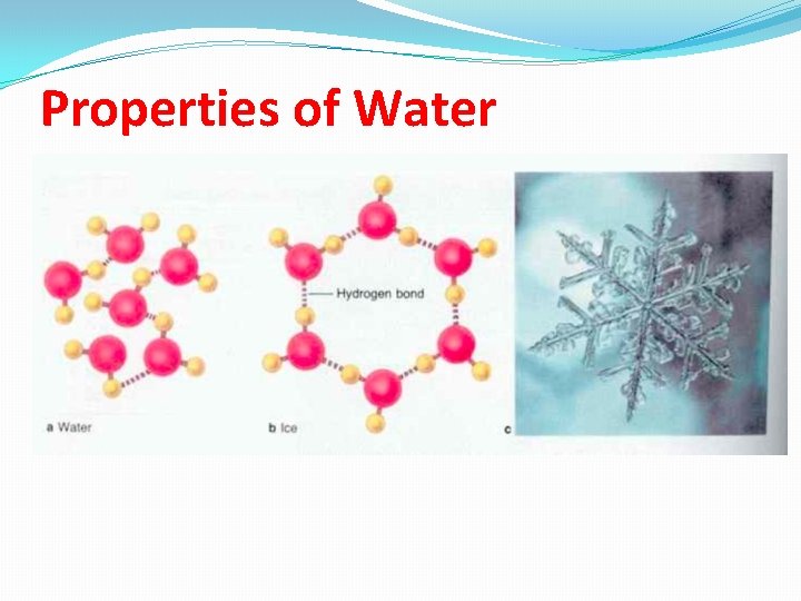 Properties of Water 