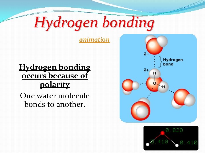 Hydrogen bonding animation Hydrogen bonding occurs because of polarity One water molecule bonds to