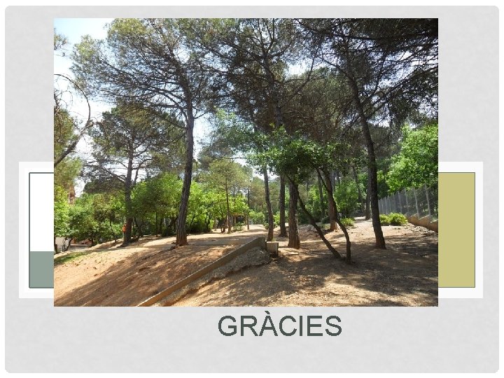 GRÀCIES 