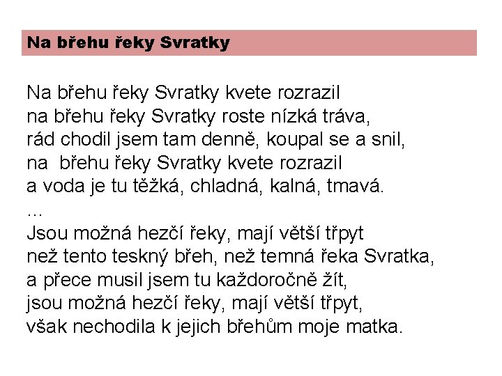 Na břehu řeky Svratky kvete rozrazil na břehu řeky Svratky roste nízká tráva, rád