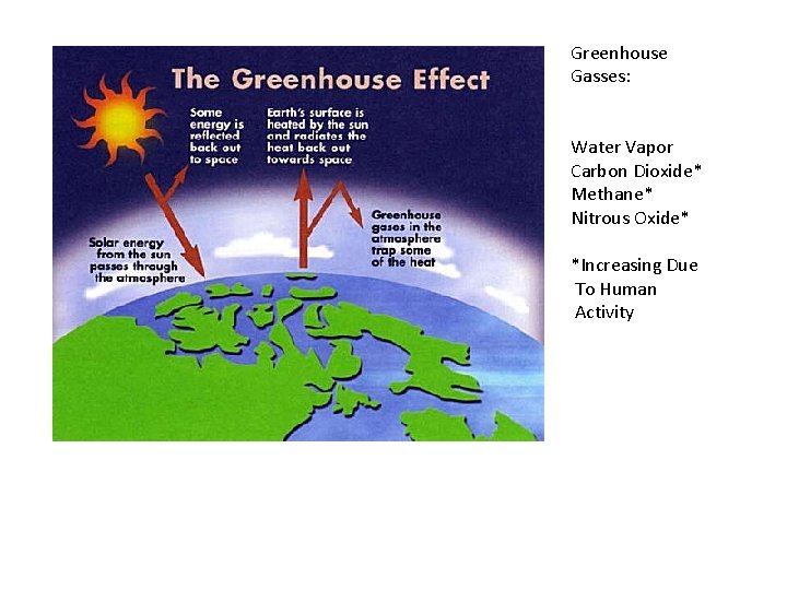 Greenhouse Gasses: Water Vapor Carbon Dioxide* Methane* Nitrous Oxide* *Increasing Due To Human Activity