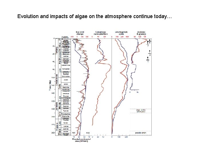 Evolution and impacts of algae on the atmosphere continue today… 