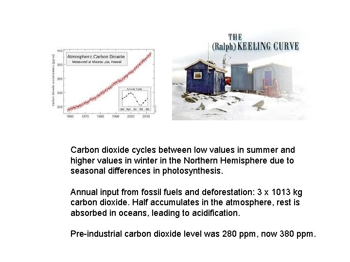 Carbon dioxide cycles between low values in summer and higher values in winter in