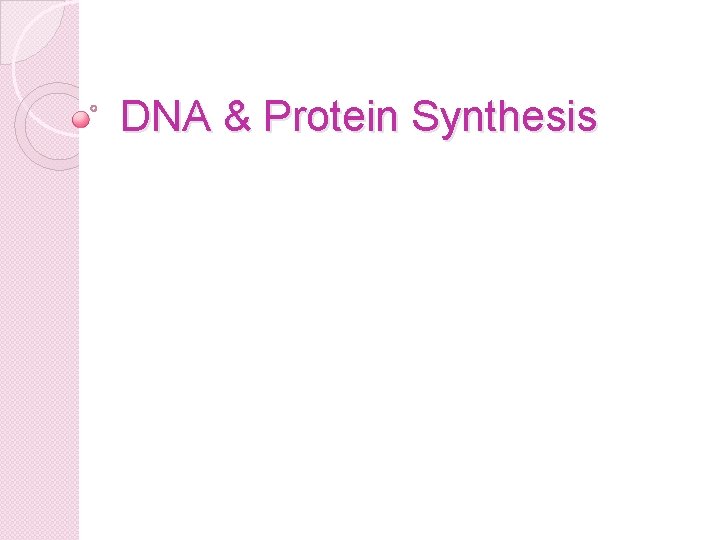 DNA & Protein Synthesis 