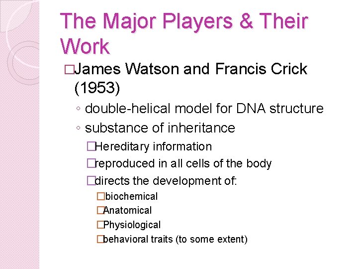 The Major Players & Their Work �James Watson and Francis Crick (1953) ◦ double-helical