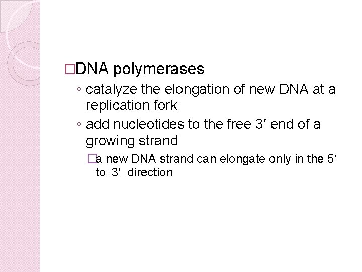 �DNA polymerases ◦ catalyze the elongation of new DNA at a replication fork ◦