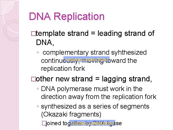 DNA Replication �template strand = leading strand of DNA, ◦ complementary strand syhthesized Animation: