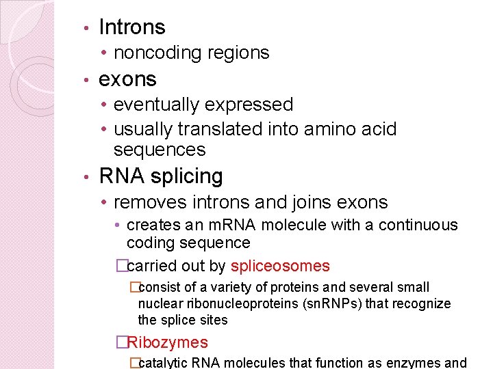  • Introns • noncoding regions • exons • eventually expressed • usually translated