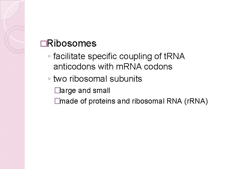 �Ribosomes ◦ facilitate specific coupling of t. RNA anticodons with m. RNA codons ◦