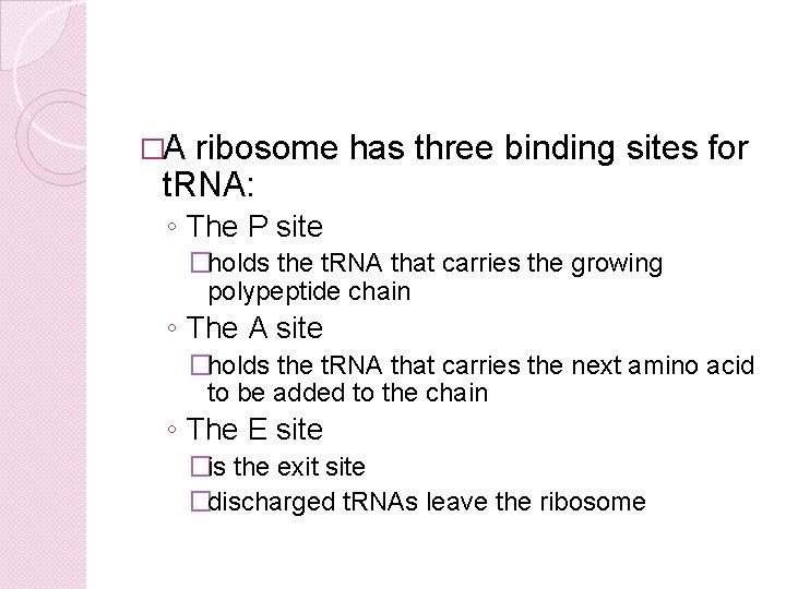 �A ribosome has three binding sites for t. RNA: ◦ The P site �holds