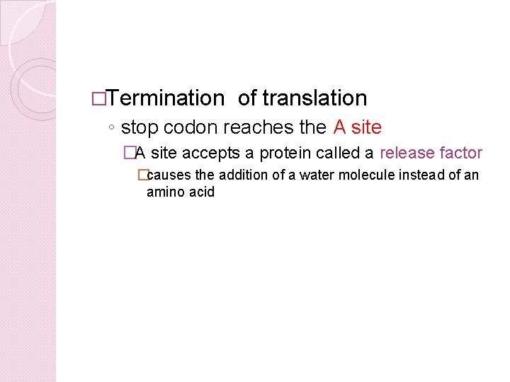 �Termination of translation ◦ stop codon reaches the A site �A site accepts a