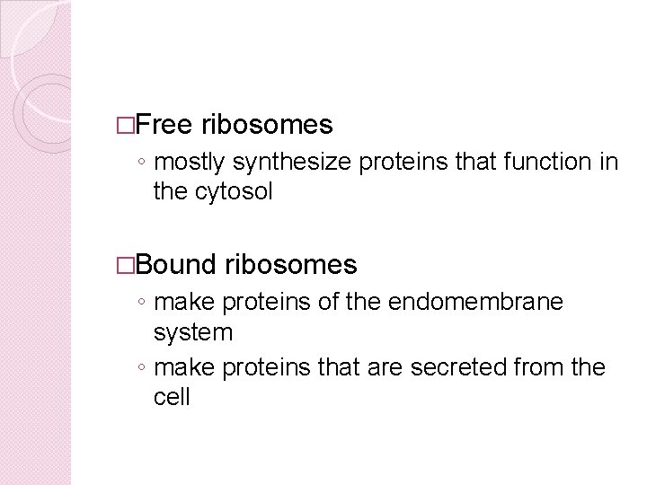 �Free ribosomes ◦ mostly synthesize proteins that function in the cytosol �Bound ribosomes ◦