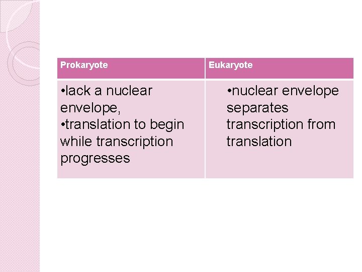 Prokaryote • lack a nuclear envelope, • translation to begin while transcription progresses Eukaryote