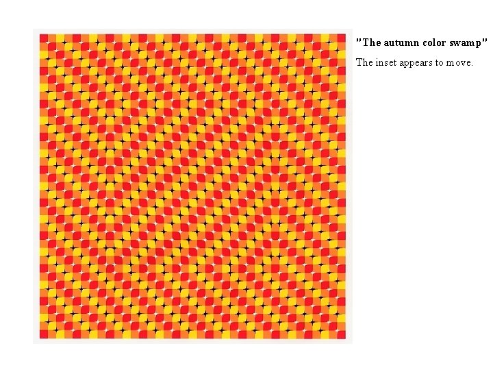 "The autumn color swamp" The inset appears to move. 